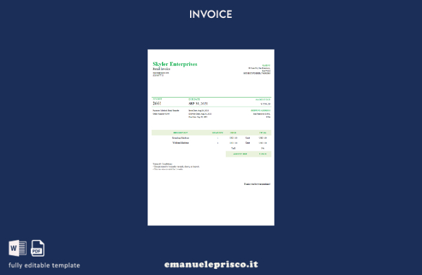 modello di fattura USA Skyler Enterprises in stile verificato